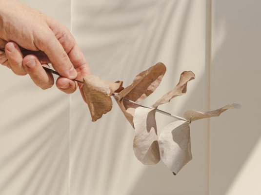 オーガニックショップ企画